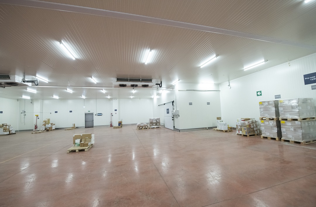 News e Approfondimenti - PHSE