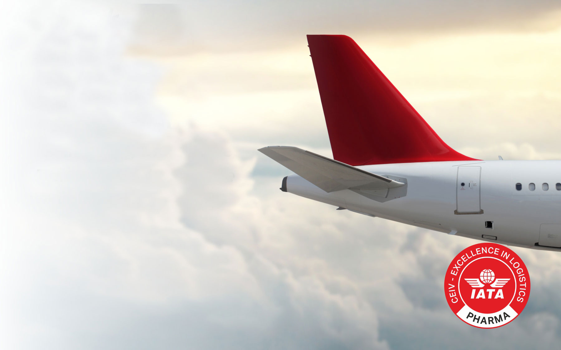 News e Approfondimenti - PHSE